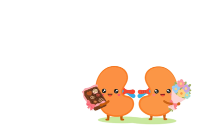 Kidneys Chocolates x Flowers