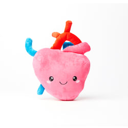 Heart Plush Organ Toys - I Aorta to tell you how much I love you! -Nerdbugs Heart Plushie Organ - Nerdbugs Plush Toy Organs