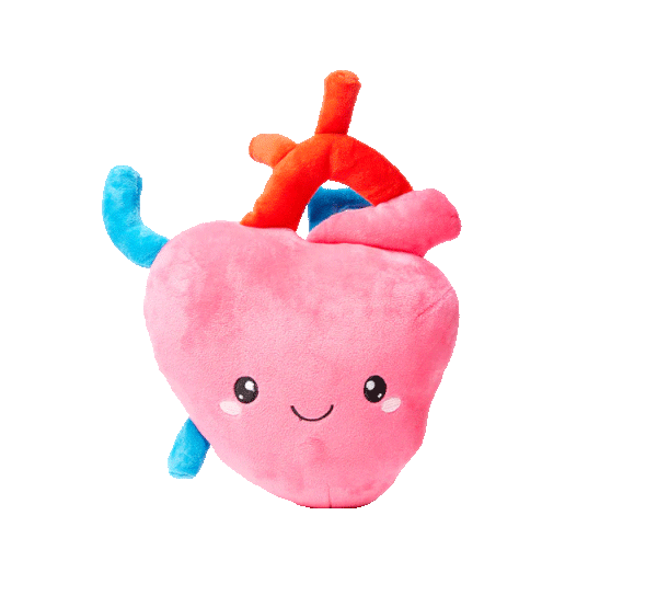 Heart Plush Organ  - Nerdbugs Heart Plushie Organ - i aorta to tell you how much I love you