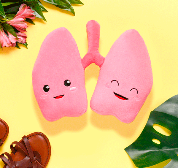 Lung Plush Organ  - Nerdbugs Lung Plushie Organ - we be lung together!