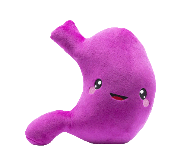 Stomach Plush Toys & Stomach Organ Toys NerdBugs LLC Nerdbugs Plush