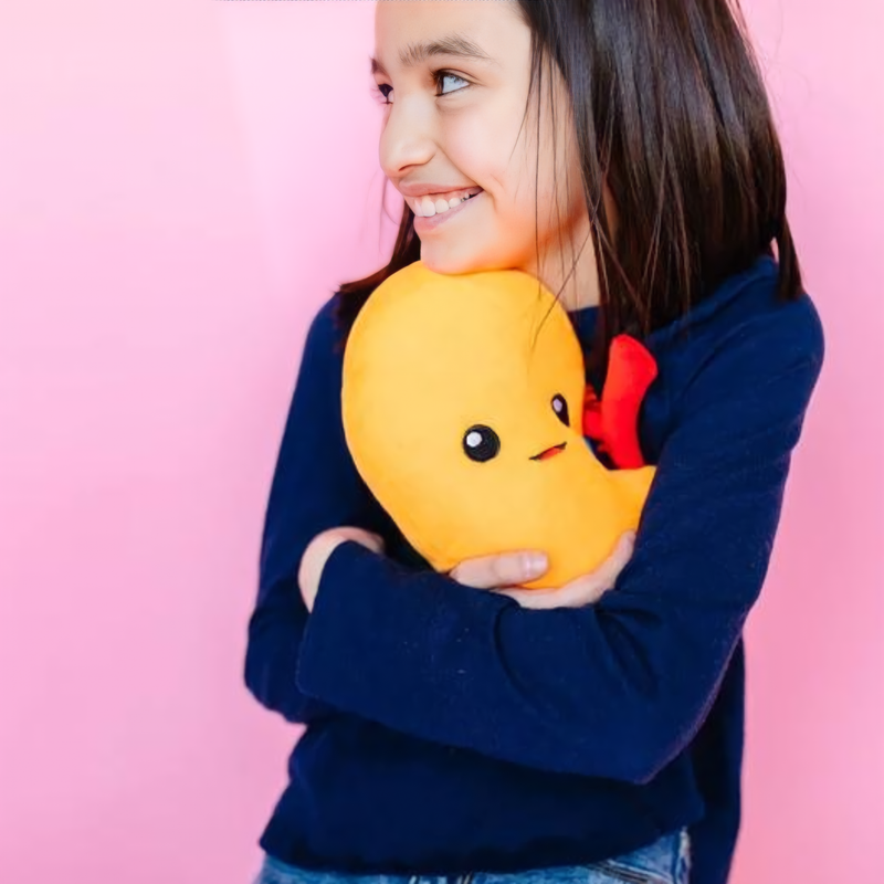 Kidney Plush Organ Toys Kidney Plush Toys Kidney Organ Toys