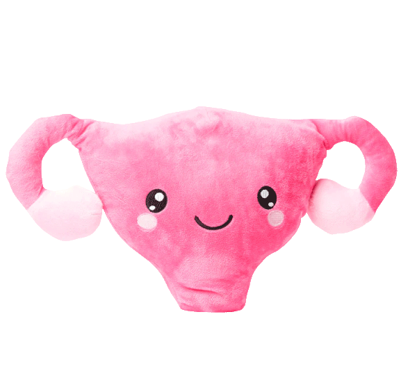 Uterus Plush Organ - Nerdbugs Uterus Plushie Organ - Who put the cuter us in uterus?